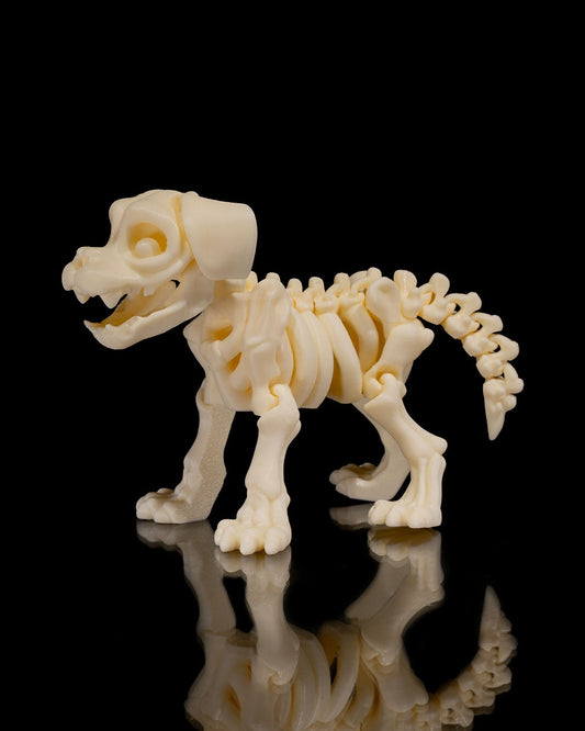 Max — Skeleton Dog Figurine (Fossil White Edition)