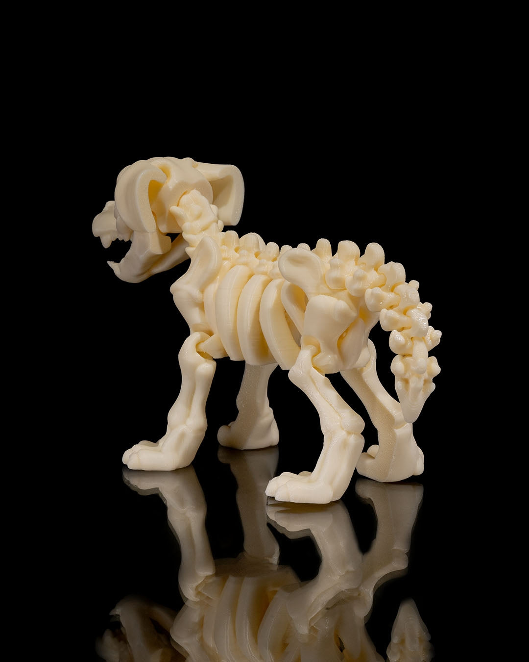 Max — Skeleton Dog Figurine (Fossil White Edition)