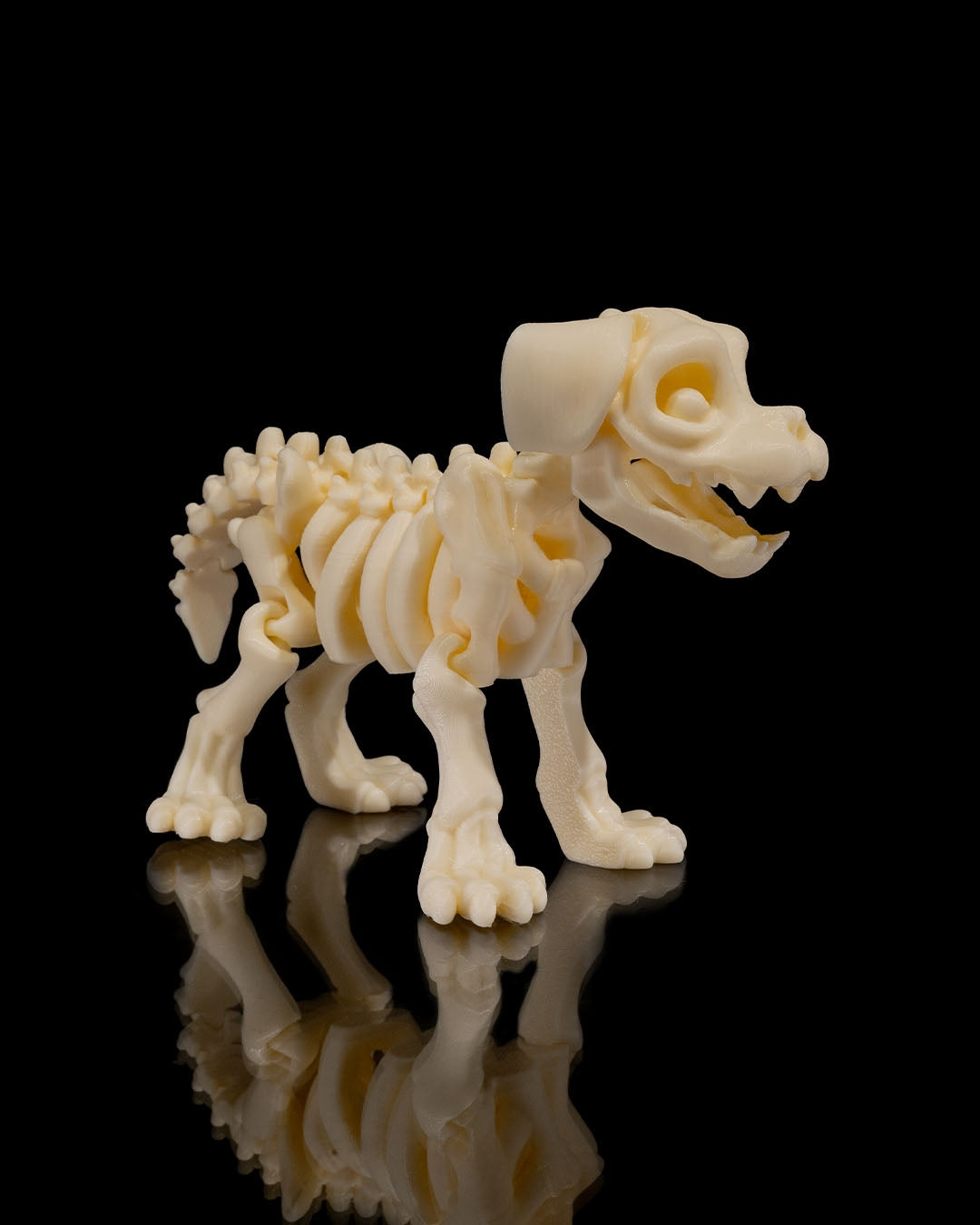 Max — Skeleton Dog Figurine (Fossil White Edition)