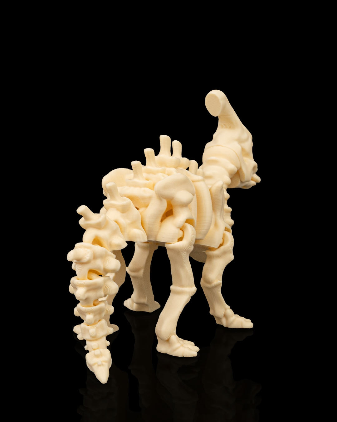 Skeleton Parasaurolophus — Elegant Fossil White Edition