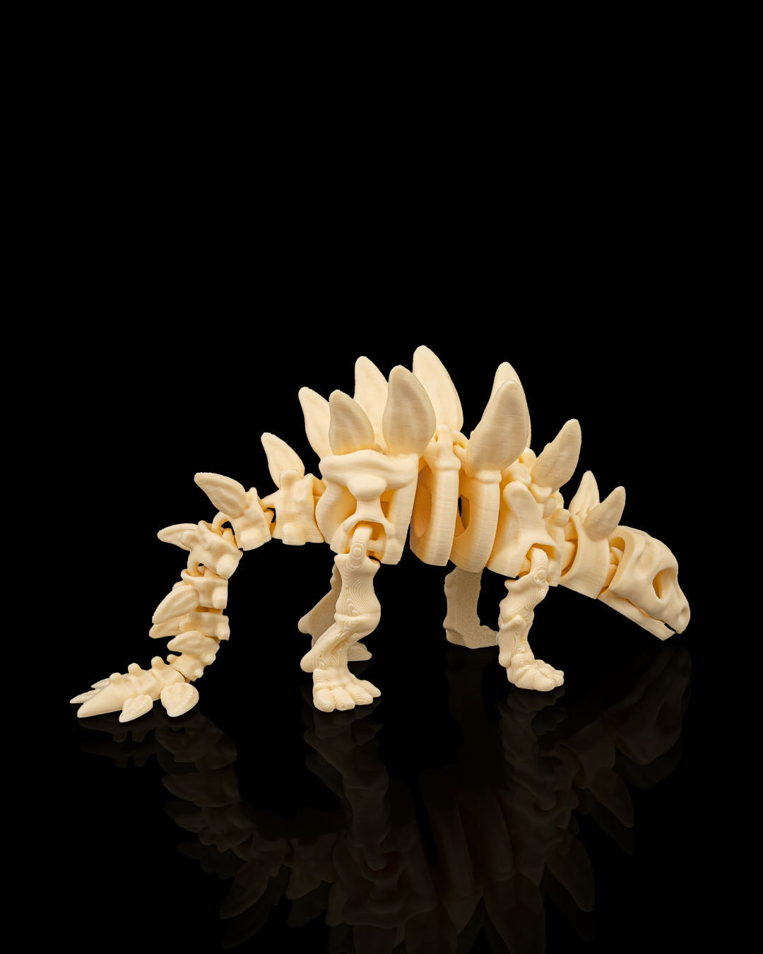 Skeleton Stegosaurus — Premier Fossil White Edition