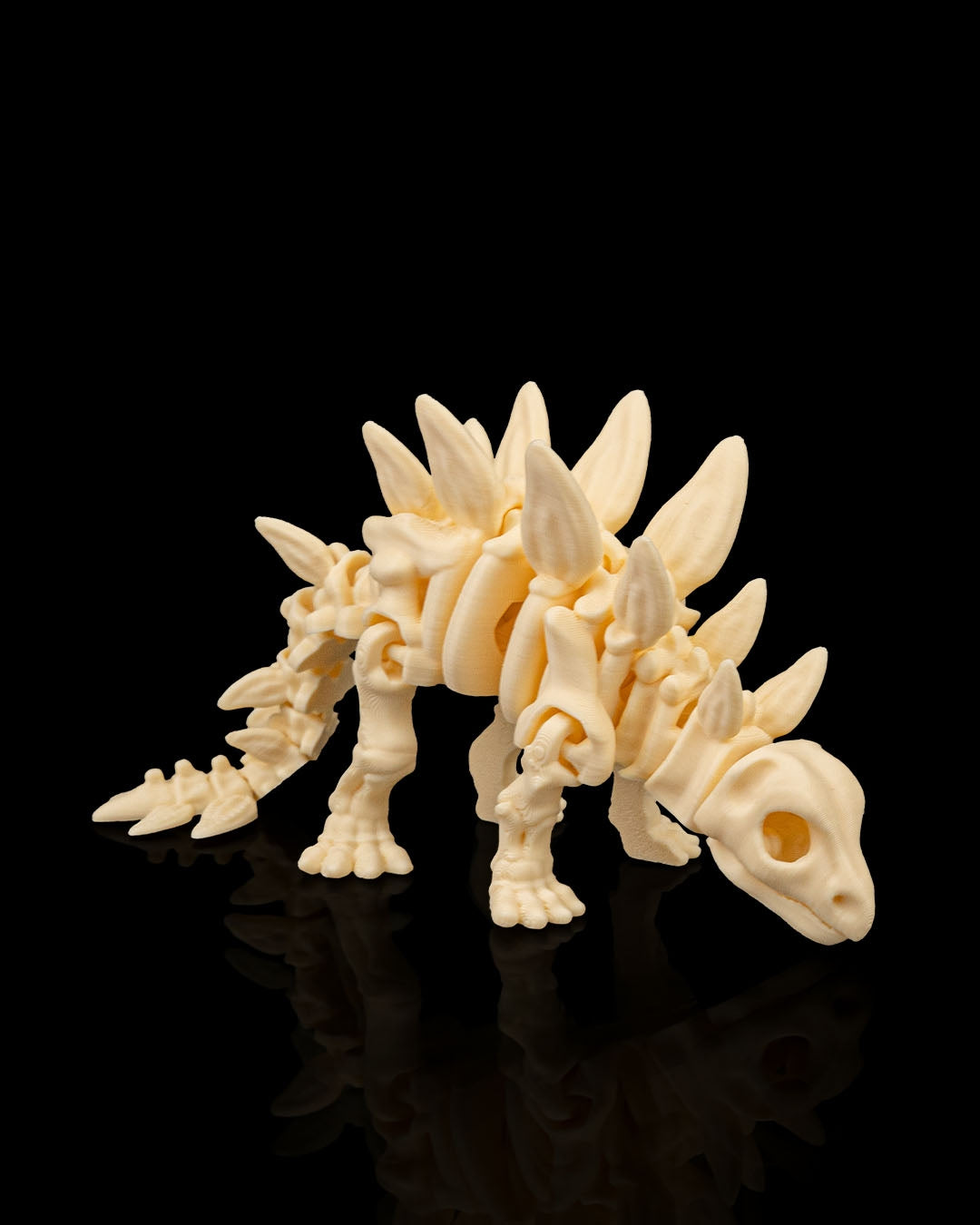 Skeleton Stegosaurus — Premier Fossil White Edition