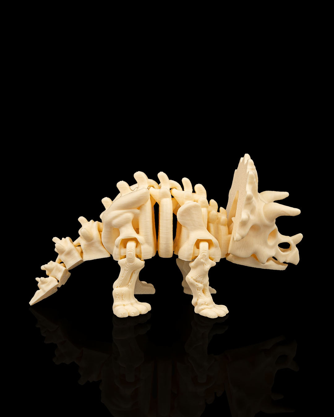 Skeleton Triceratops — Fossil White Edition
