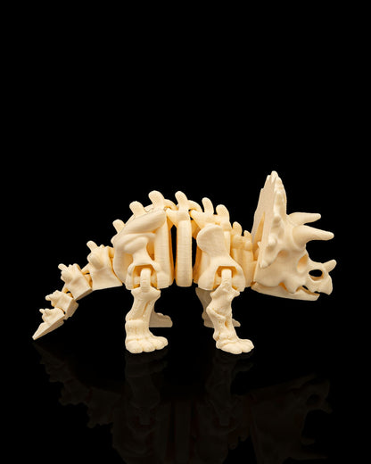 Skeleton Triceratops — Fossil White Edition