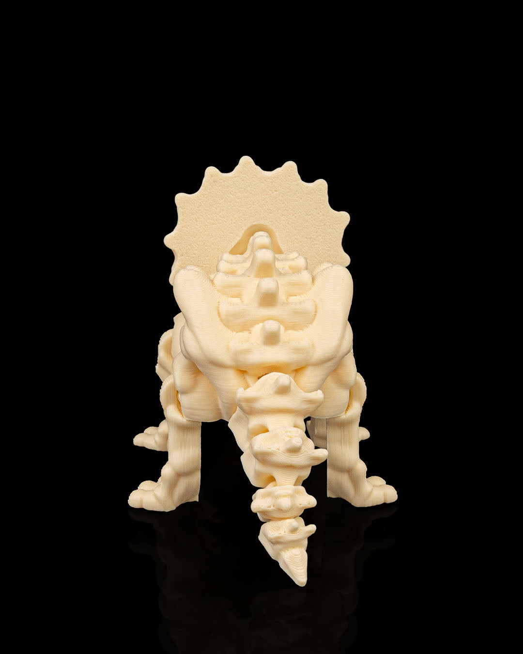 Skeleton Triceratops — Fossil White Edition