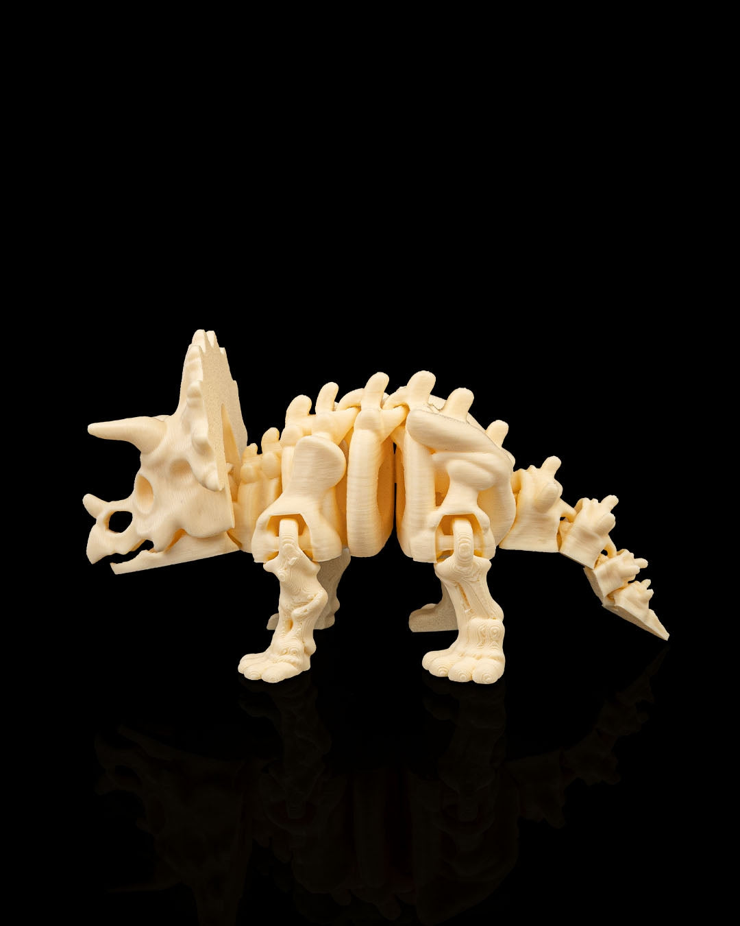 Skeleton Triceratops — Fossil White Edition