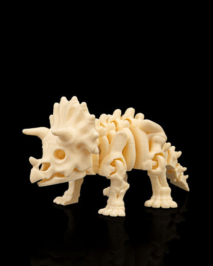 Skeleton Triceratops — Fossil White Edition