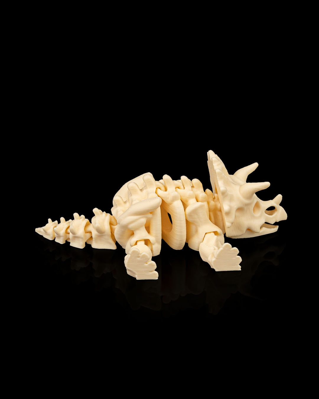 Skeleton Triceratops — Fossil White Edition