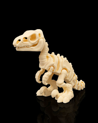 Skeleton Velociraptor — Premium Fossil White Edition