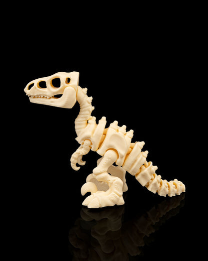 Skeleton Velociraptor — Premium Fossil White Edition