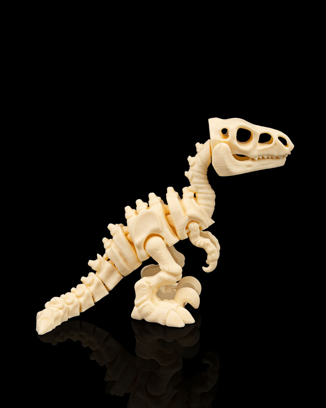 Skeleton Velociraptor — Premium Fossil White Edition