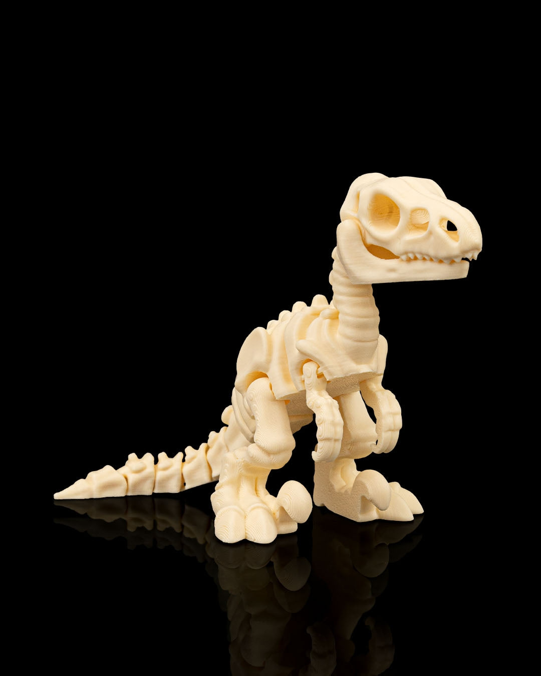 Skeleton Velociraptor — Premium Fossil White Edition